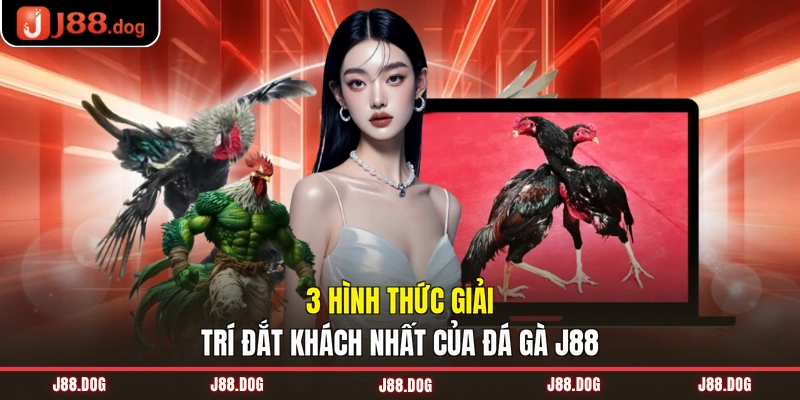 3 hình thức giải trí đắt khách nhất của đá gà J88 3 hình thức giải trí đắt khách nhất của đá gà J88