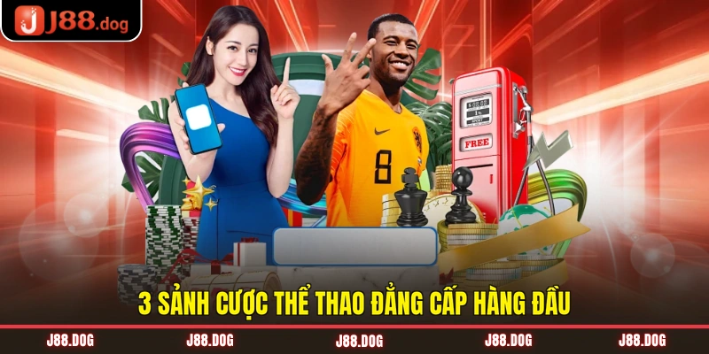 3 sảnh cược thể thao đẳng cấp hàng đầu 3 sảnh cược thể thao đẳng cấp hàng đầu