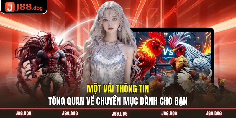 Một vài thông tin tổng quan về chuyên mục dành cho bạn Một vài thông tin tổng quan về chuyên mục dành cho bạn