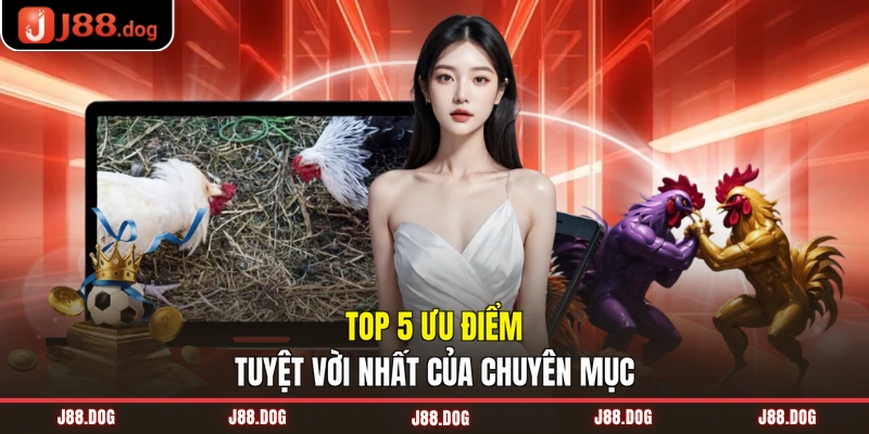 Top 5 ưu điểm tuyệt vời nhất của chuyên mục Top 5 ưu điểm tuyệt vời nhất của chuyên mục